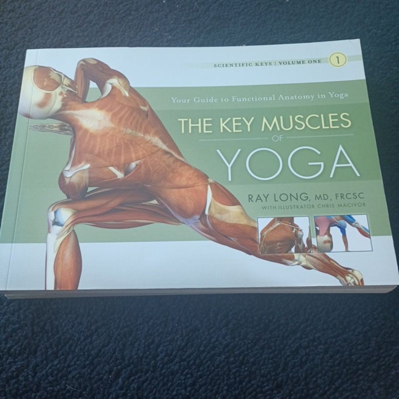 Key Muscles of Yoga