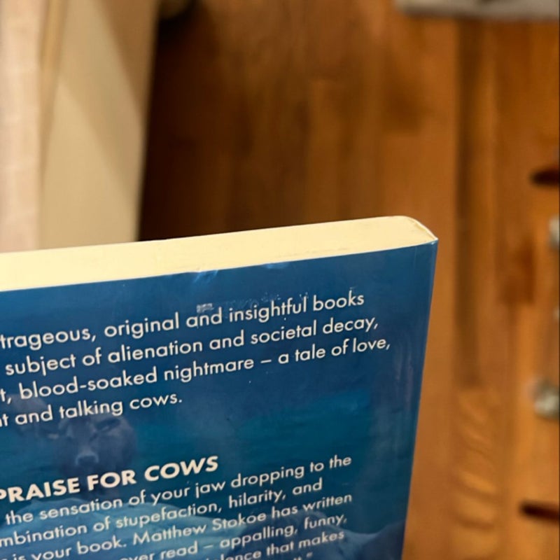 Cows
