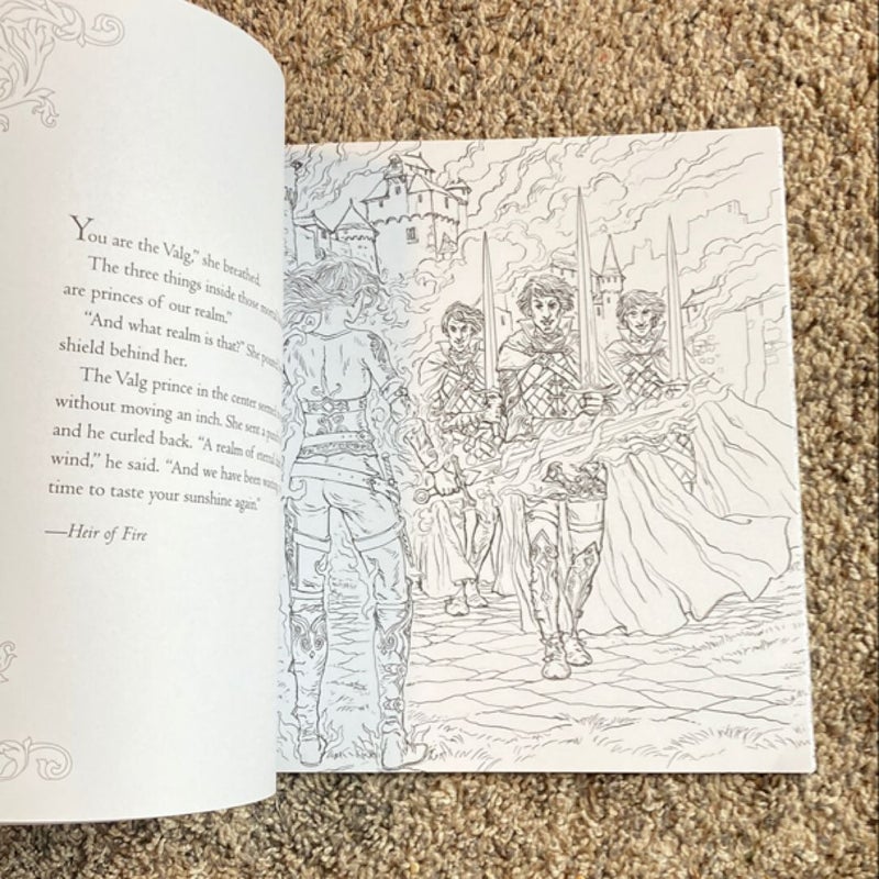 The Throne of Glass Coloring Book