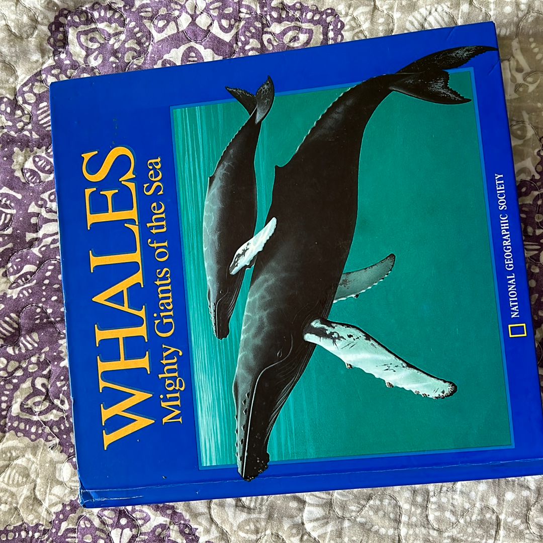 Pop-Up: Whales
