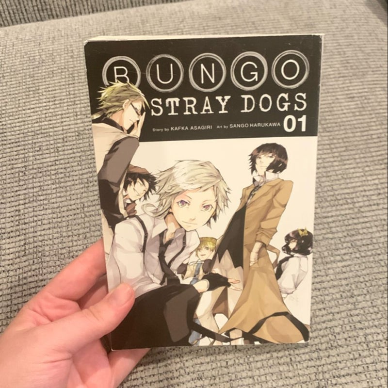 Bungo Stray Dogs, Vol. 1