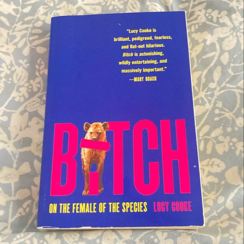 Bitch