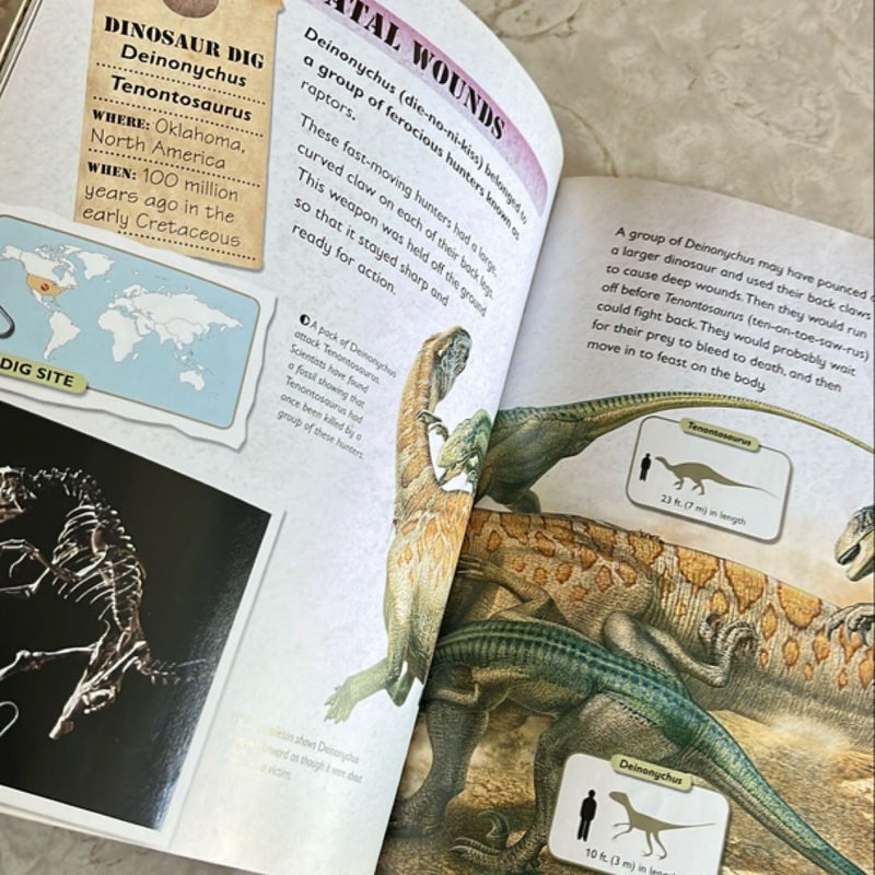 Dinosaur Dig, DINOSAUR COMBAT, Scholastic BF Version