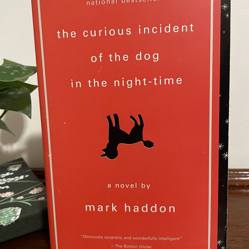 The Curious Incident of the Dog in the Night-Time