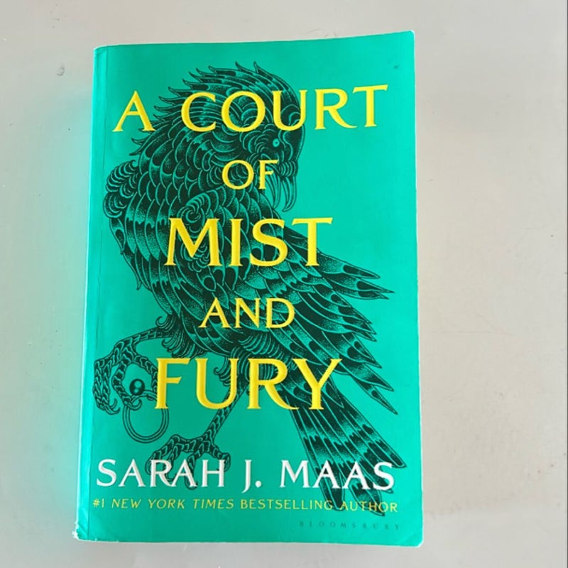 A court of Mist and Fury