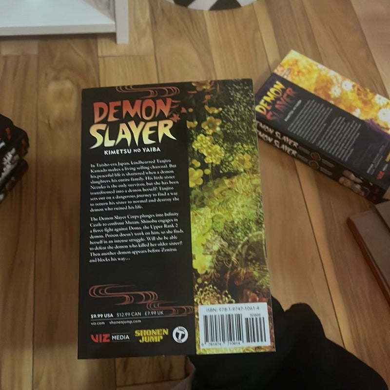 Demon Slayer: Kimetsu No Yaiba, Vol. 17