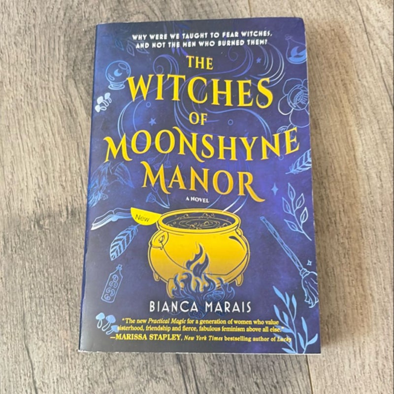 The Witches of Moonshyne Manor