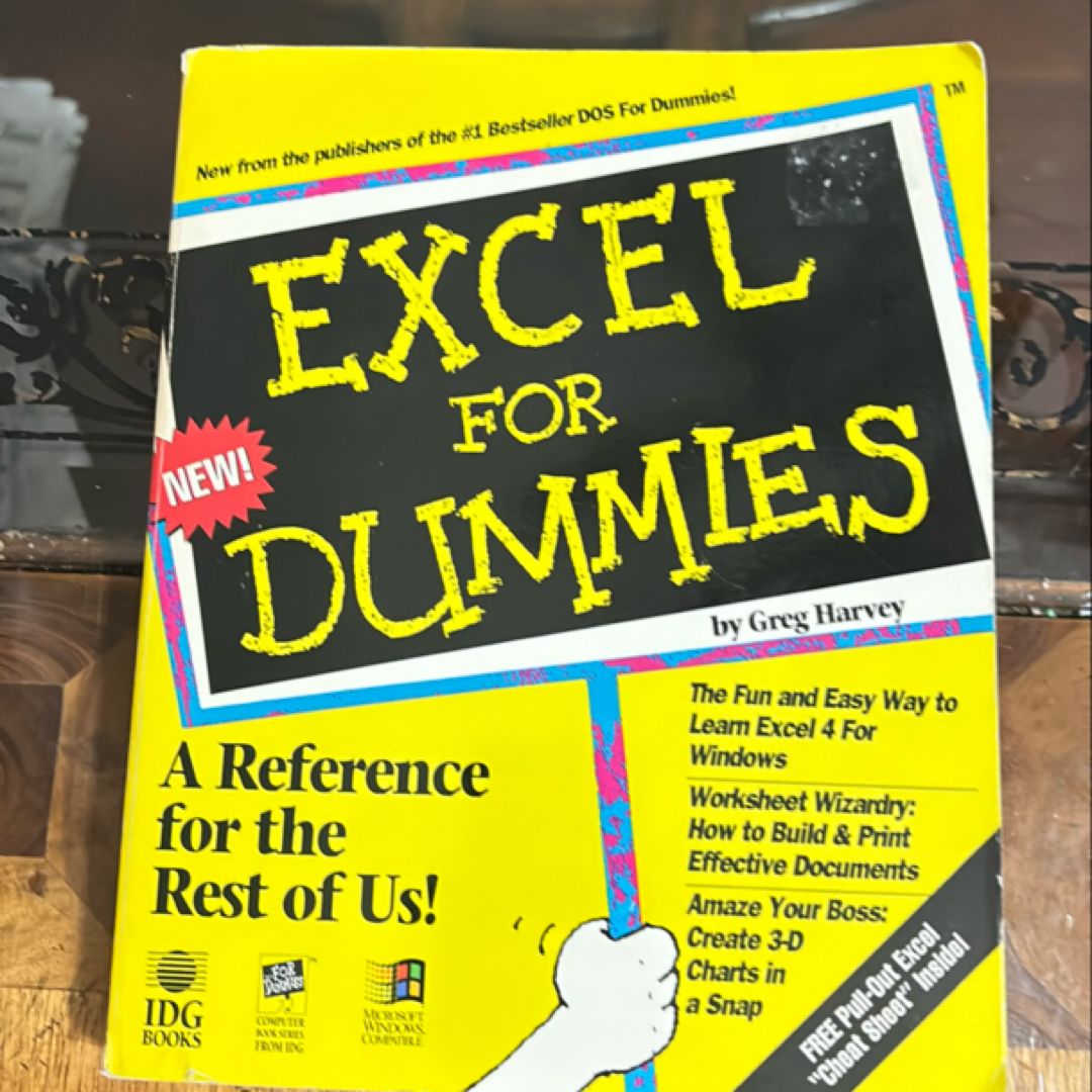 Excel for Dummies