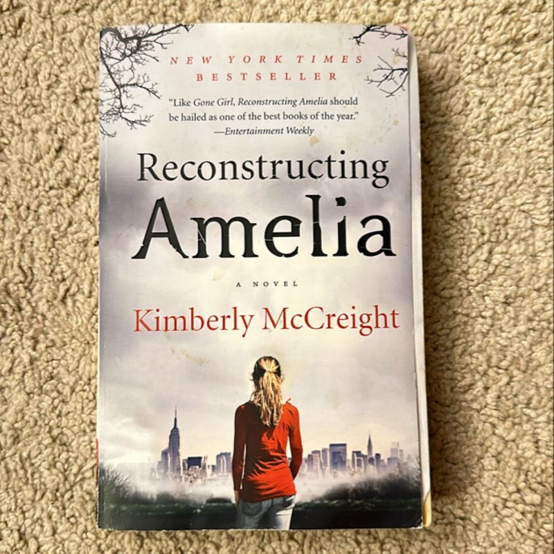 Reconstructing Amelia