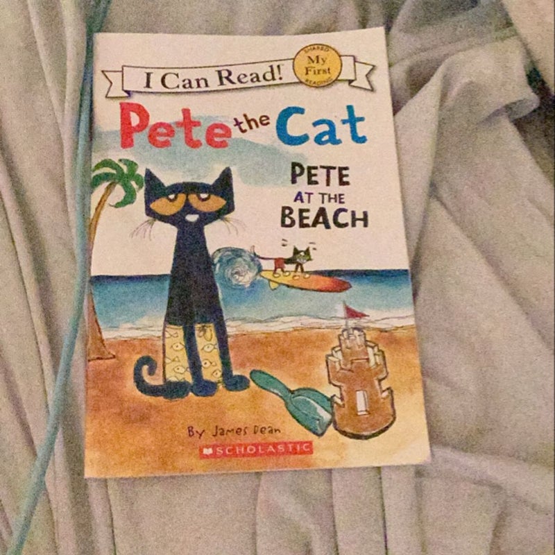 Pete the cat at the beach