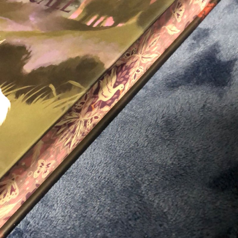 A Sorceress Comes to Call SIGNED NEW Owlcrate Sprayed Edges 