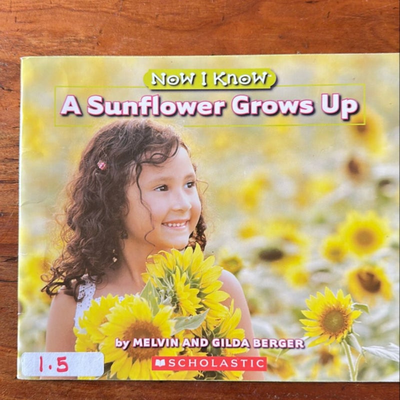 A Sunflower Grows Up