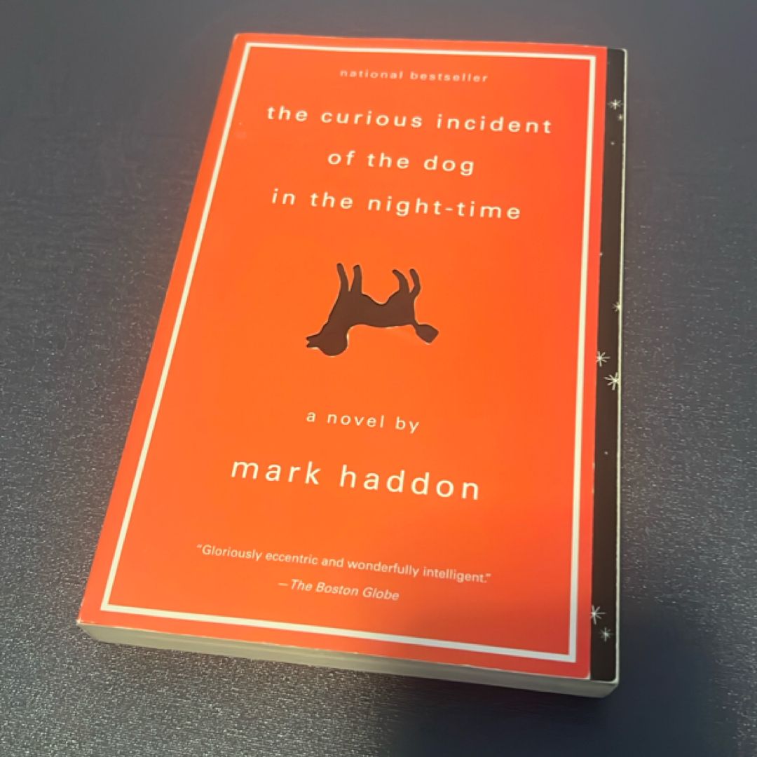 The Curious Incident of the Dog in the Night-Time