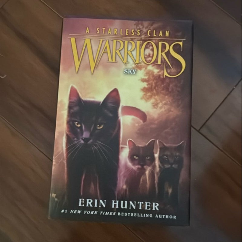 Warriors: a Starless Clan #2: Sky