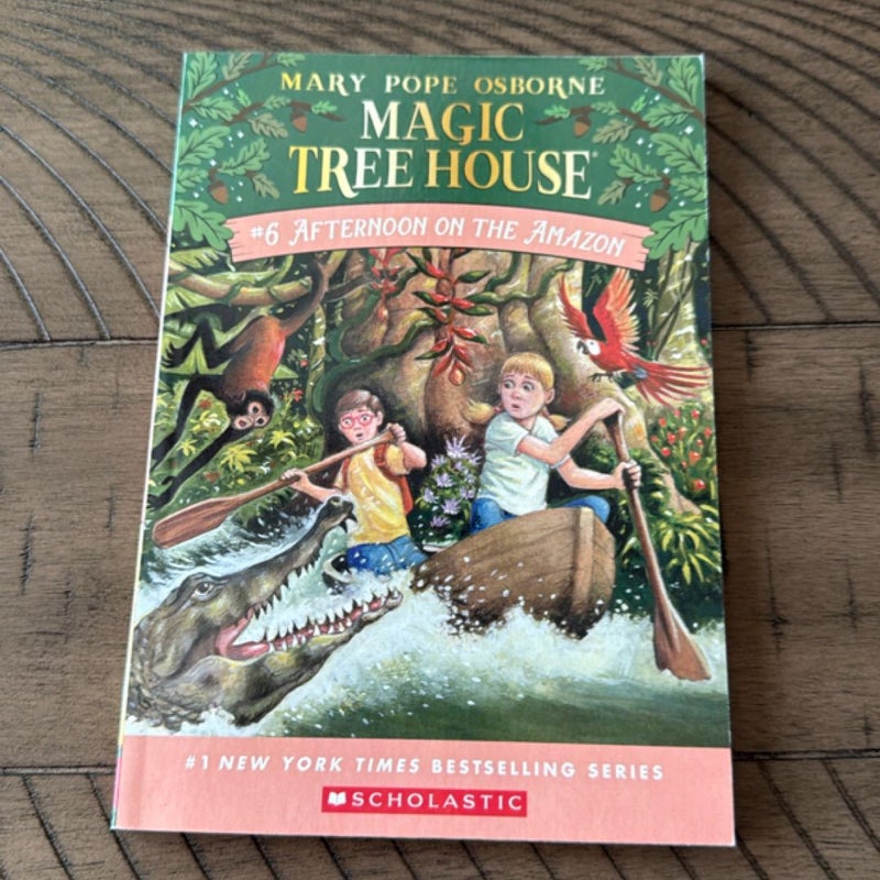 Afternoon on the Amazon