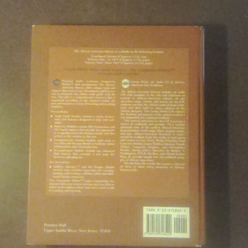 The African-American Odyssey