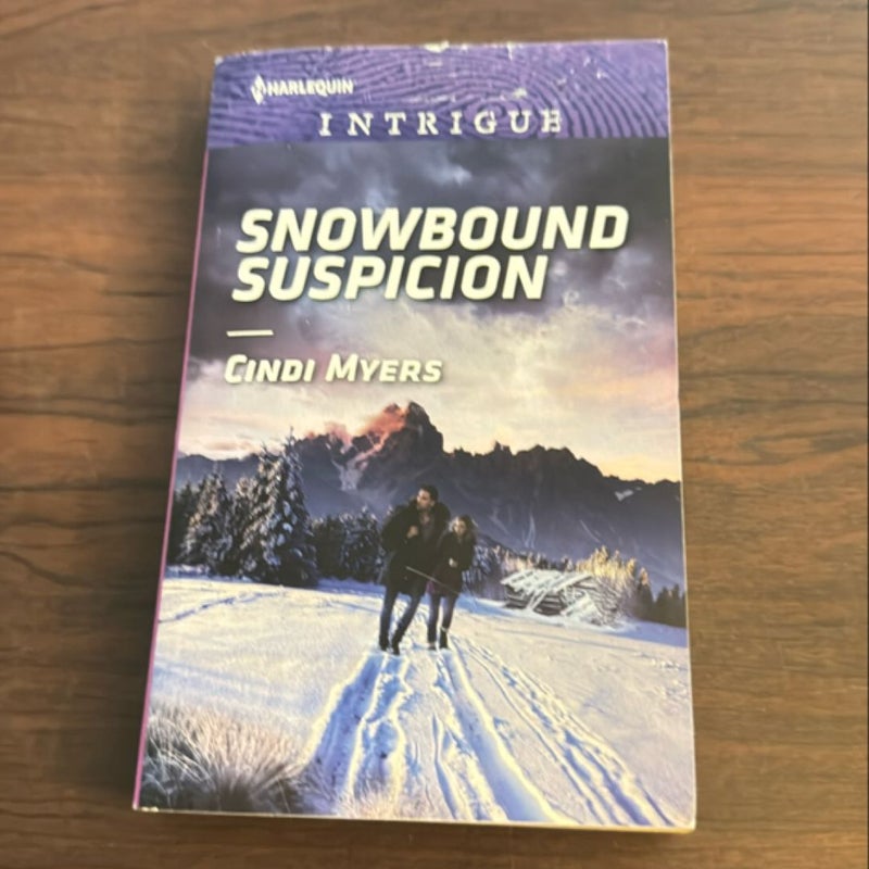 Snowbound Suspicion