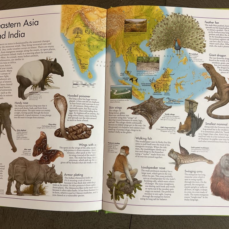The animal Atlas 