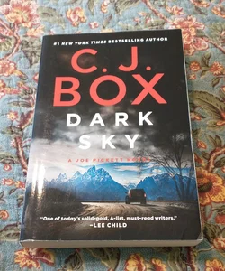 Dark Sky [Book]