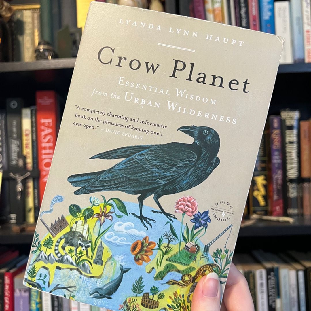 Crow Planet