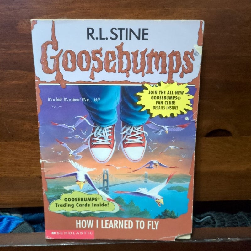How I Learned to Fly