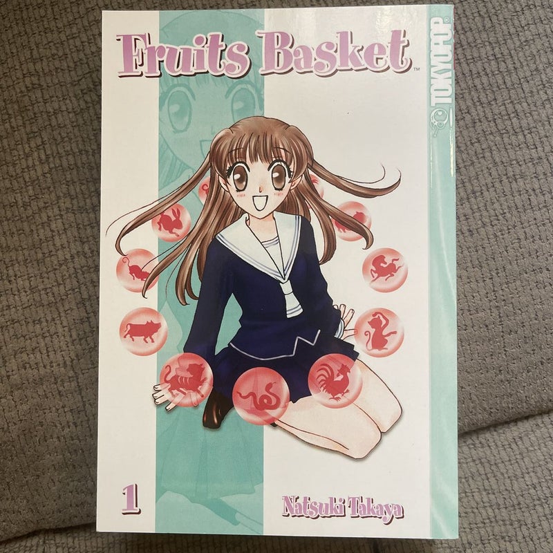 Fruits Basket vol. 1