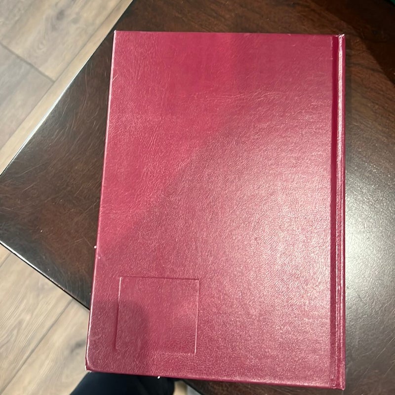 Velveteen Rabbit Deluxe Cloth Edition or, How Toys Become Real