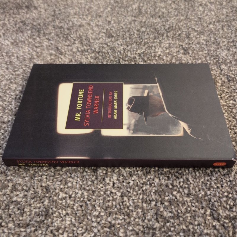 Mr. Fortune's Maggot