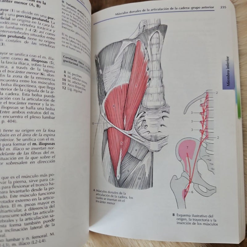 Atlas de anatomía con correlación clínica 