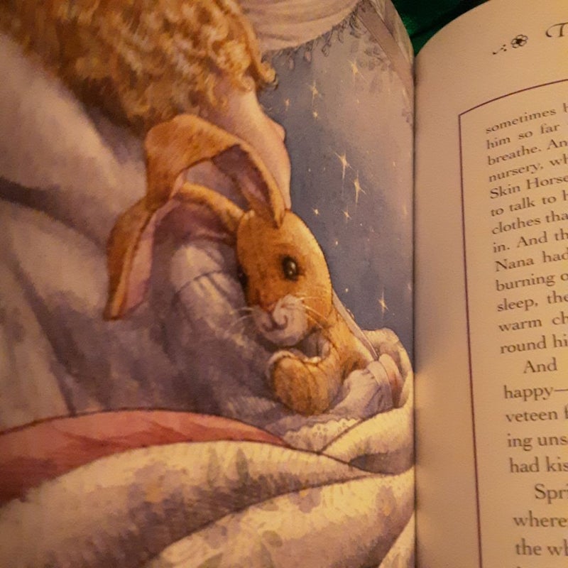 The Velveteen Rabbit