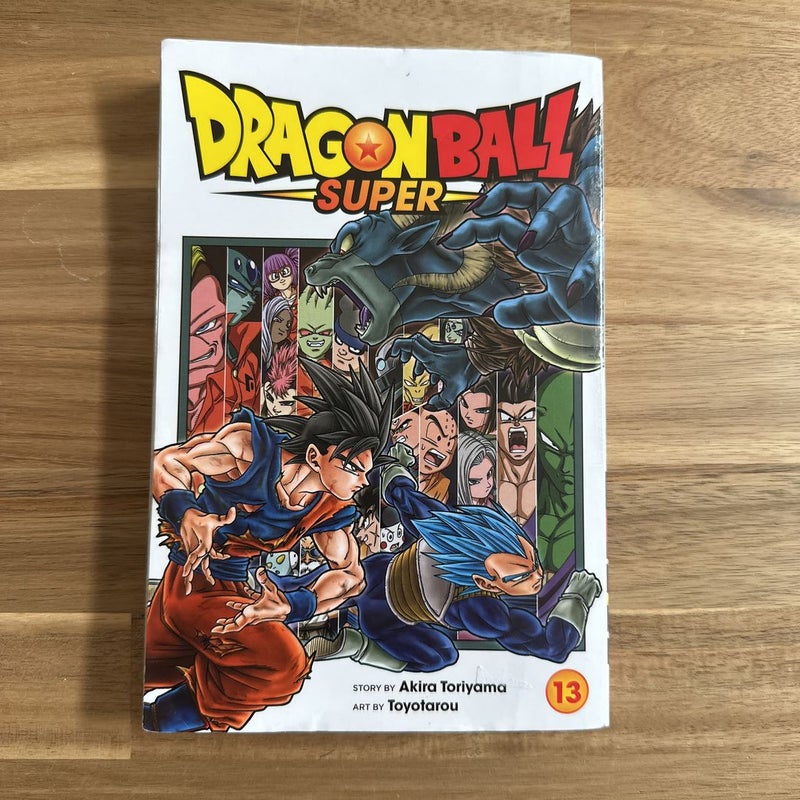 Dragon Ball Super, Vol. 13: Volume 13