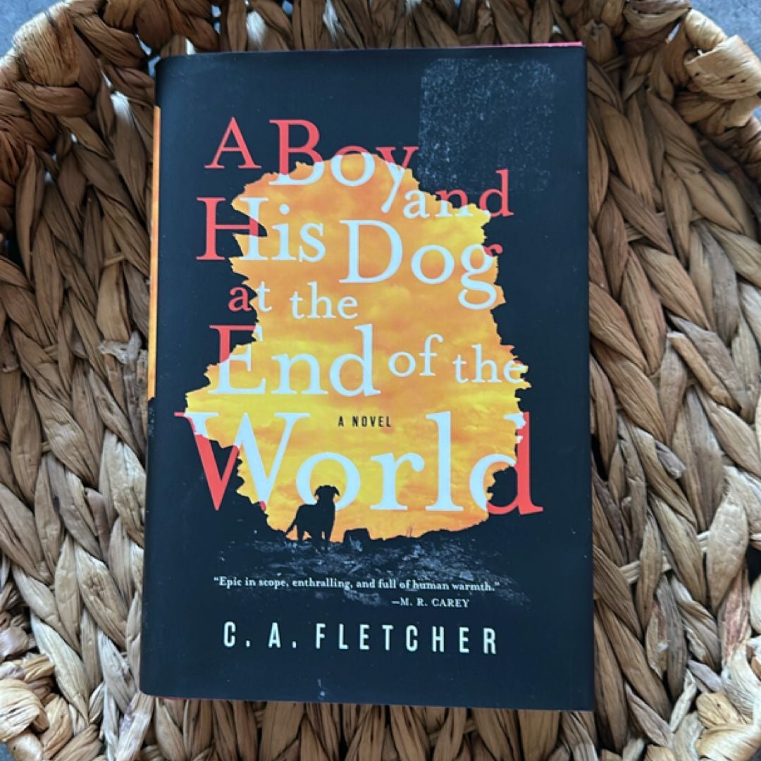 A Boy and His Dog at the End of the World