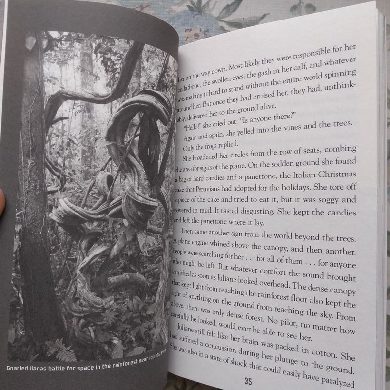 Lost in the Amazon (Lost #3)