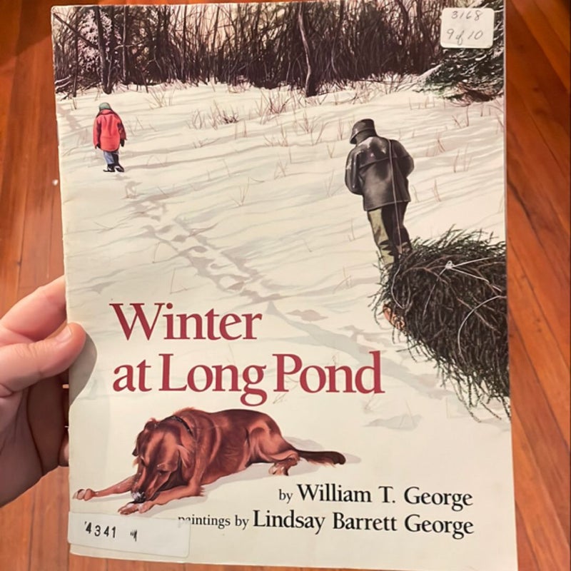 Winter at Long Pond