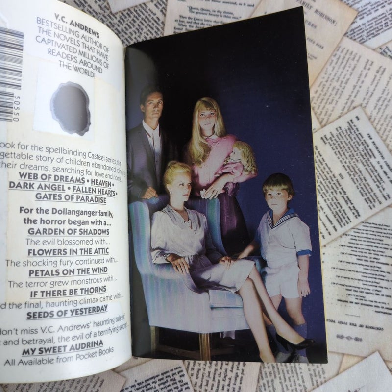 Web of Dreams (Casteel Family #5, Stepback Cover)