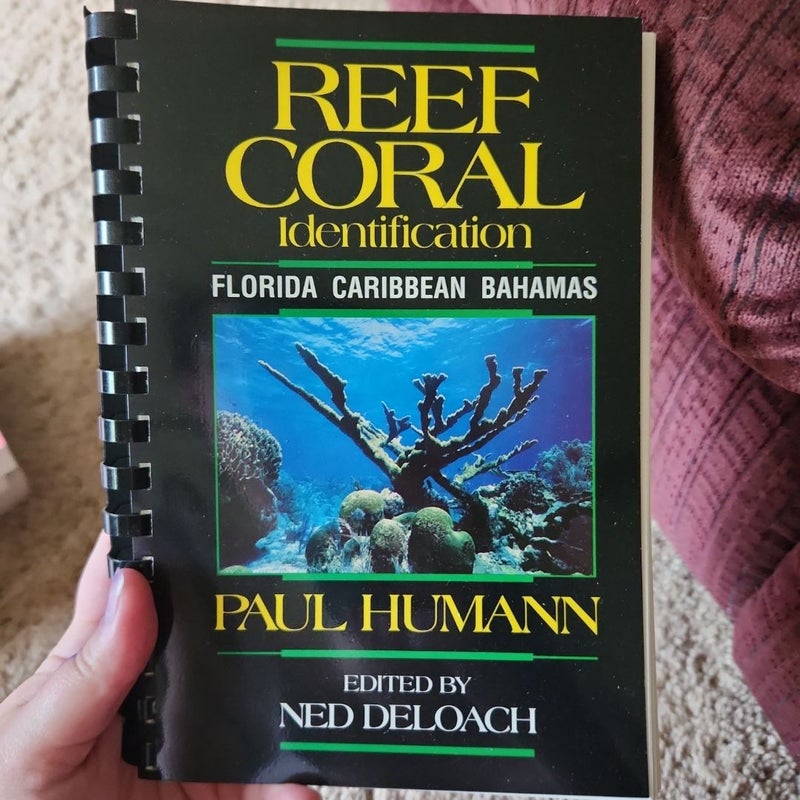 Reef Coral Identification Florida Caribbean Bahamas
