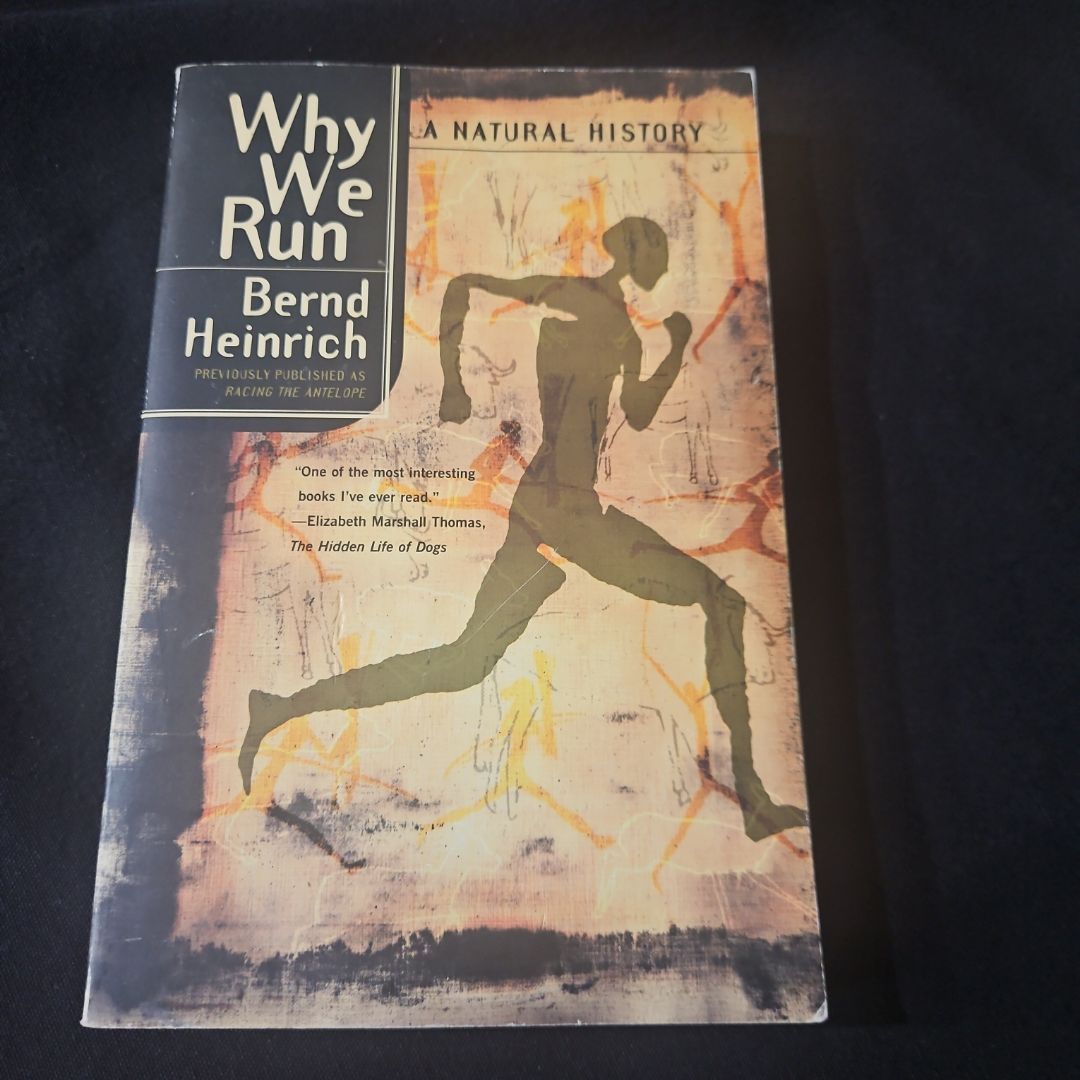 Why We Run