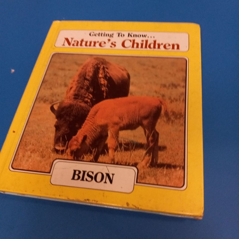 Bison