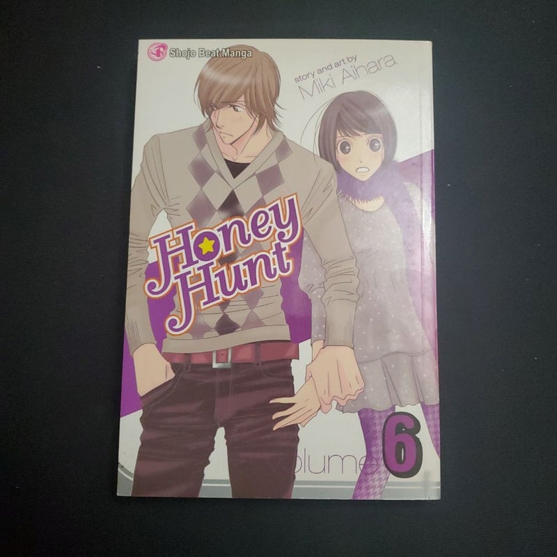 Honey Hunt, Vol. 6