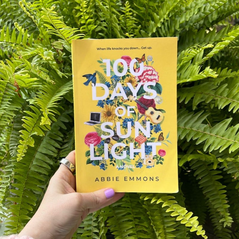 100 Days of Sunlight