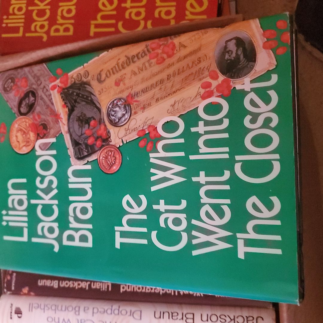 The Cat Who Went into the Closet