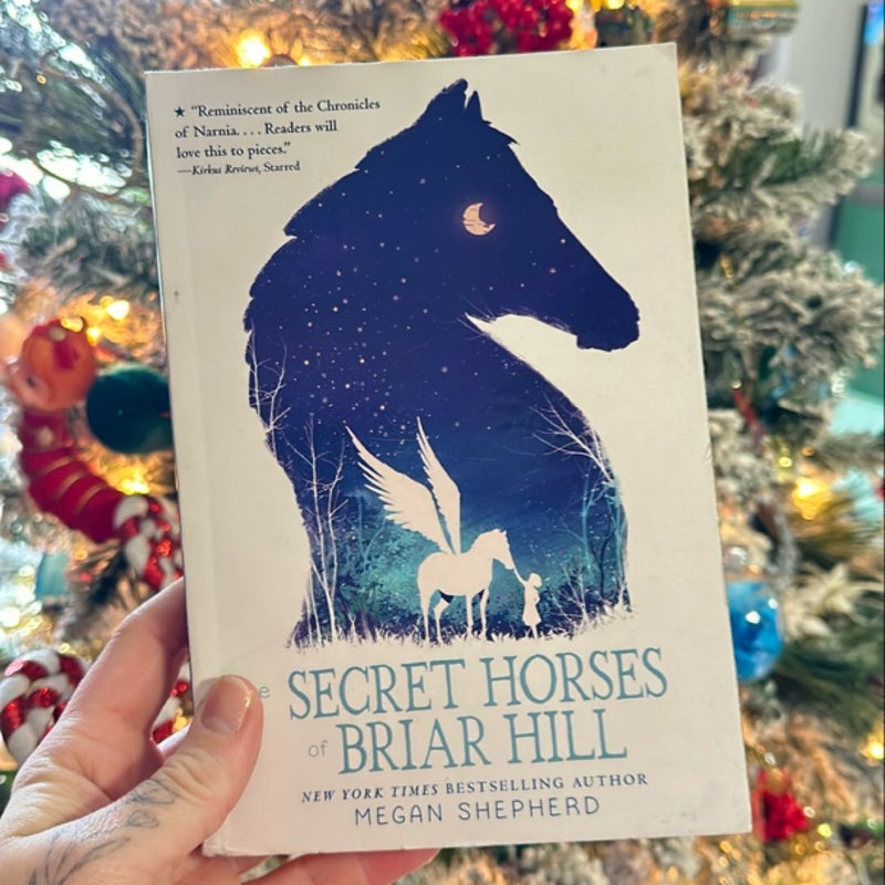 The Secret Horses of Briar Hill