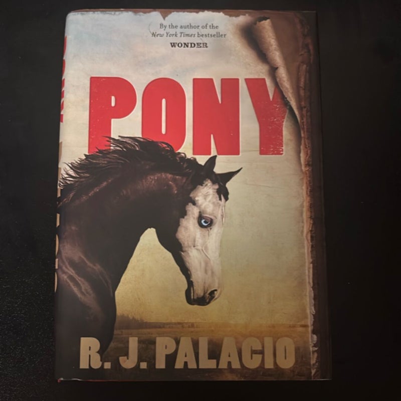 Pony
