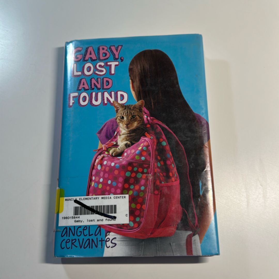 Gaby, Lost and Found: a Wish Novel