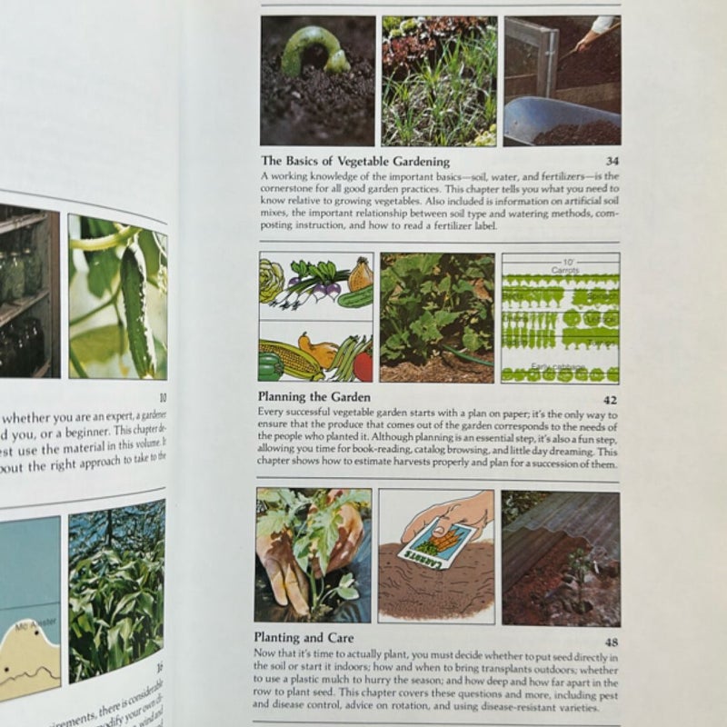 Vegetables