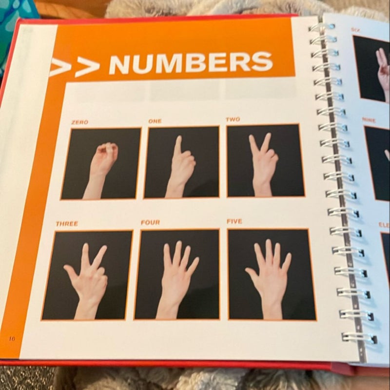 Learn American Sign Language