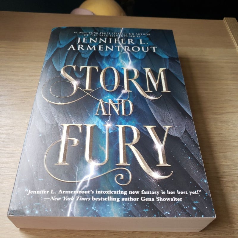 Storm and Fury