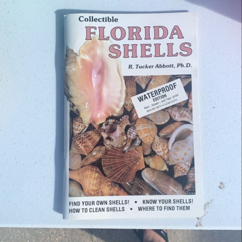 Collectible Florida Shells