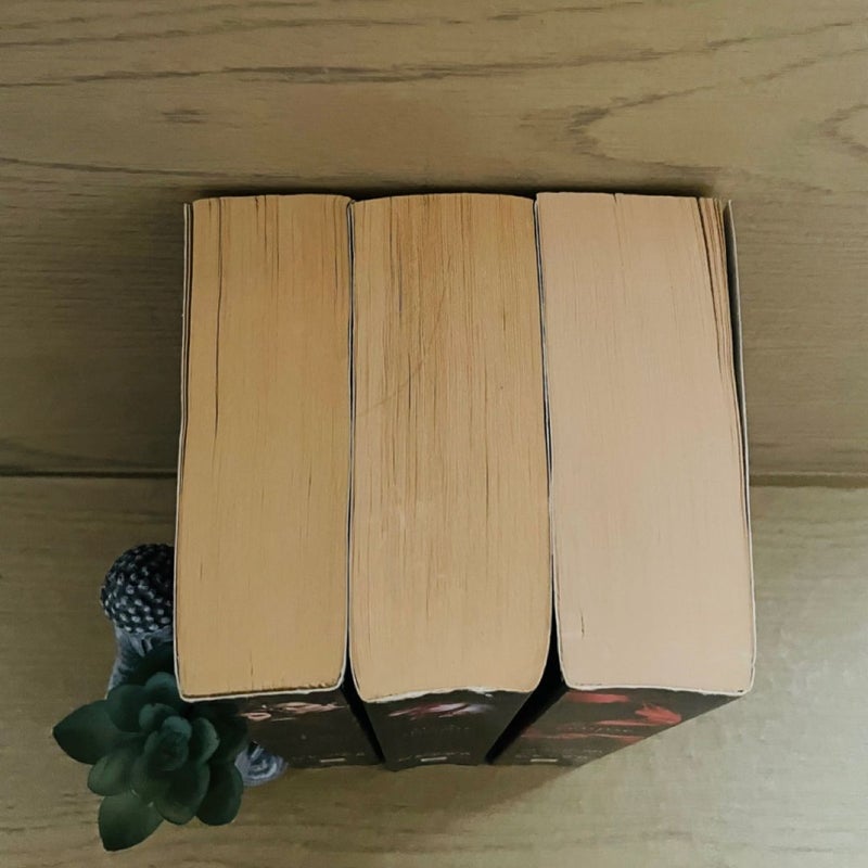 Twilight Bundle-Lot of 3; Twilight (1), New Moon (2), Eclipse (3)