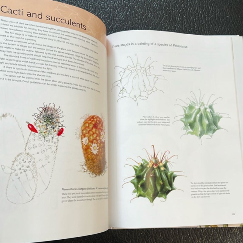 Kew Book of Botanical Illustration